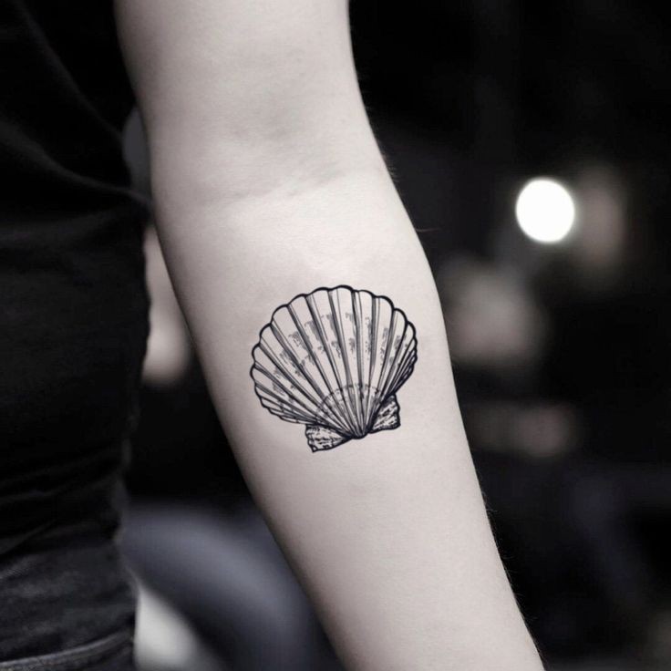SeaShell Tattoo