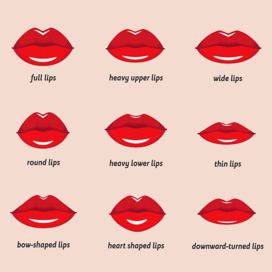 lips shape chart